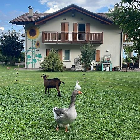 Agriturismo Girasole Fai della Paganella Dış mekan fotoğraf