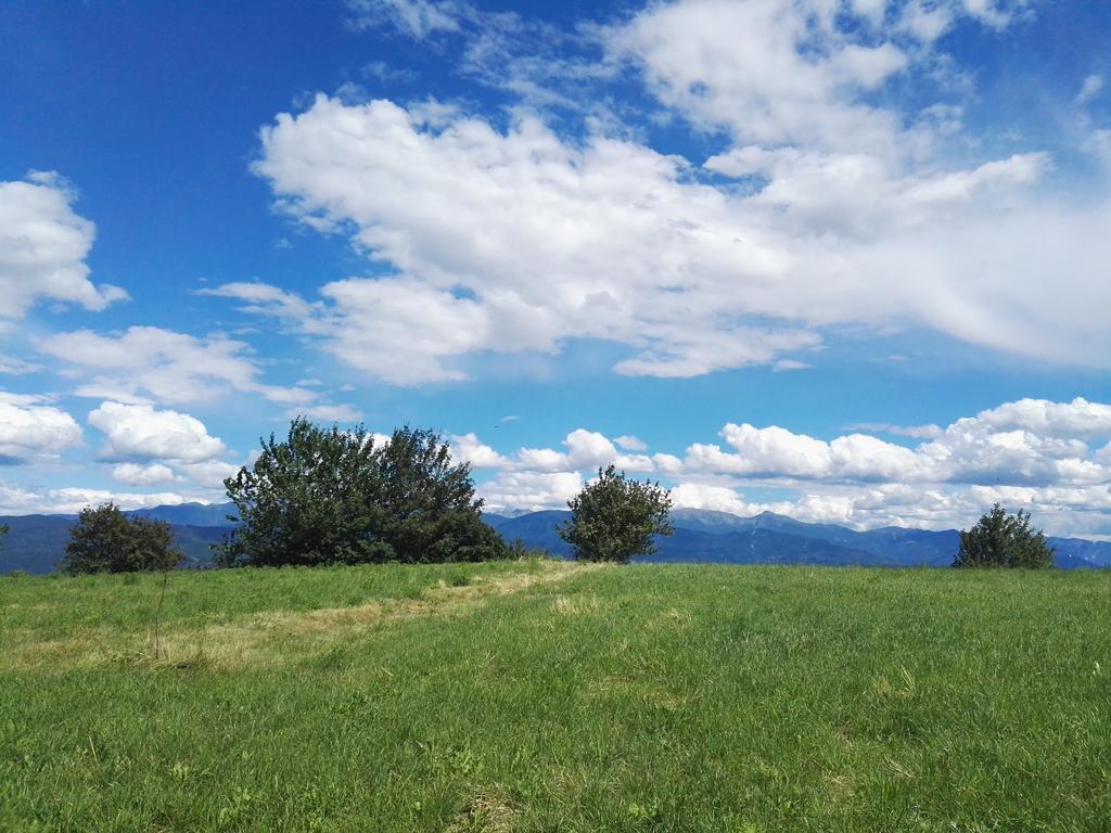 Agriturismo Girasole Fai della Paganella Dış mekan fotoğraf